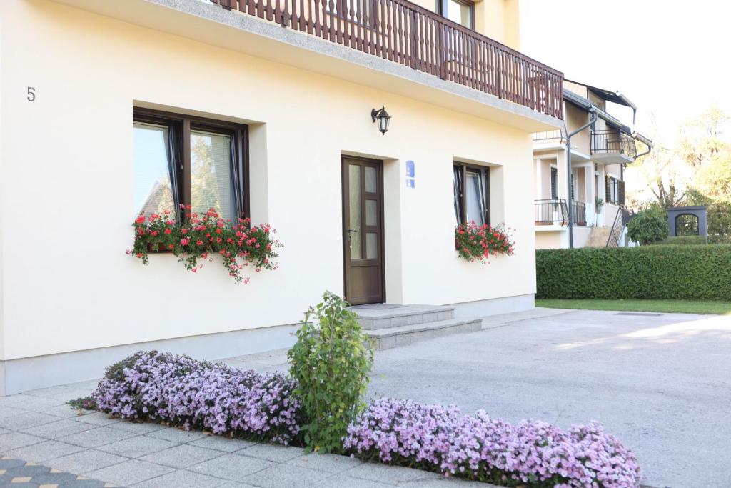 Apartman Tip Top - 13