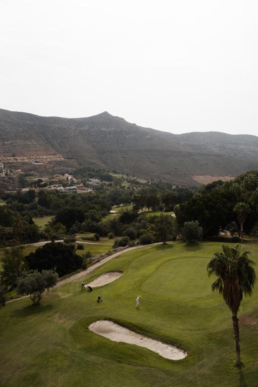 a view of a golf course with a palm tree at Suite La Envía Golf in Almería