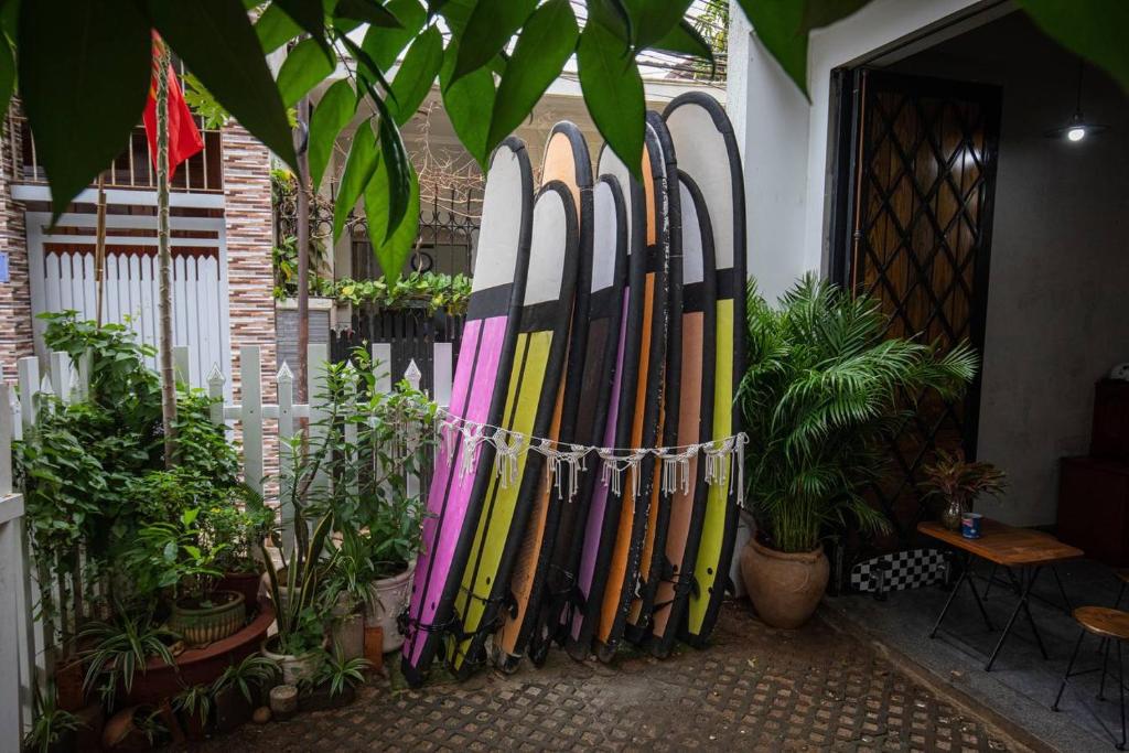 Zahrada ubytování Vungtau Surf House - Hostel Surf Camp