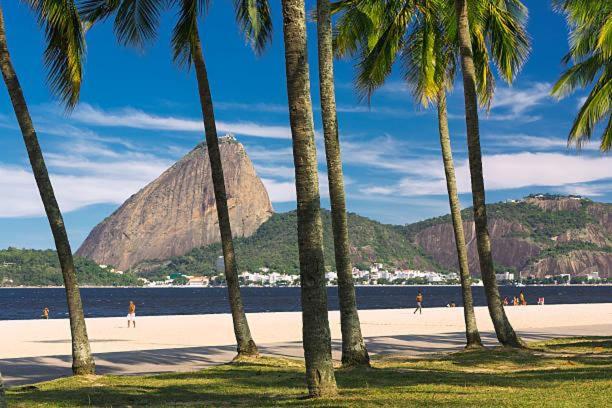 un grupo de palmeras en una playa con una montaña en Apartamento novo no Flamengo, en Río de Janeiro