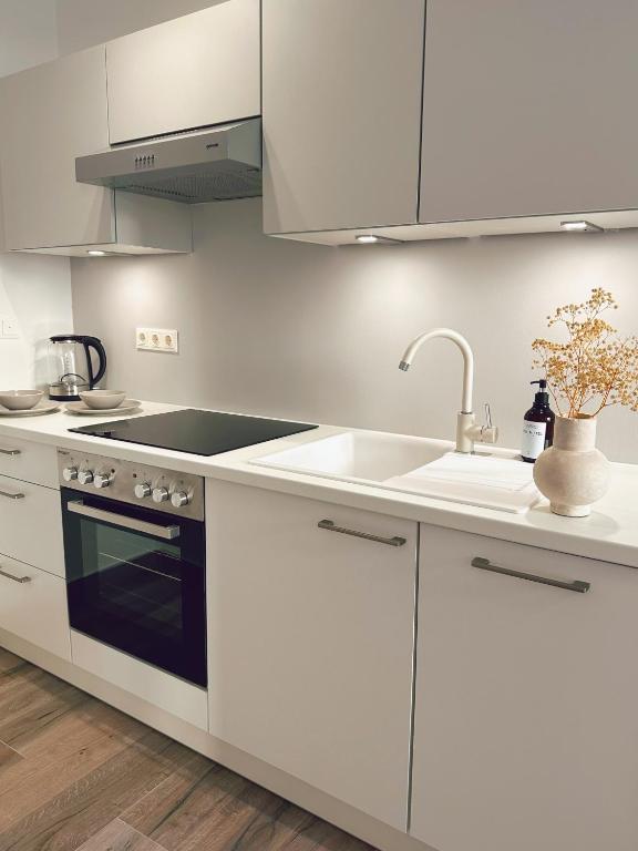 Kuchyň nebo kuchyňský kout v ubytování Suites in Mödling