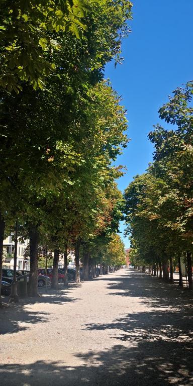 Fotografie z fotogalerie ubytování Residenza Esse v destinaci Angera