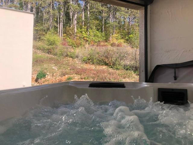 a bath tub filled with water with a view of a forest at Savigny view in Savigny-lès-Beaune