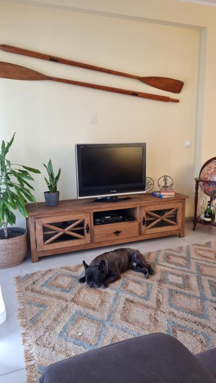 Uma TV ou centro de entretenimento em Holidays Home Comporta