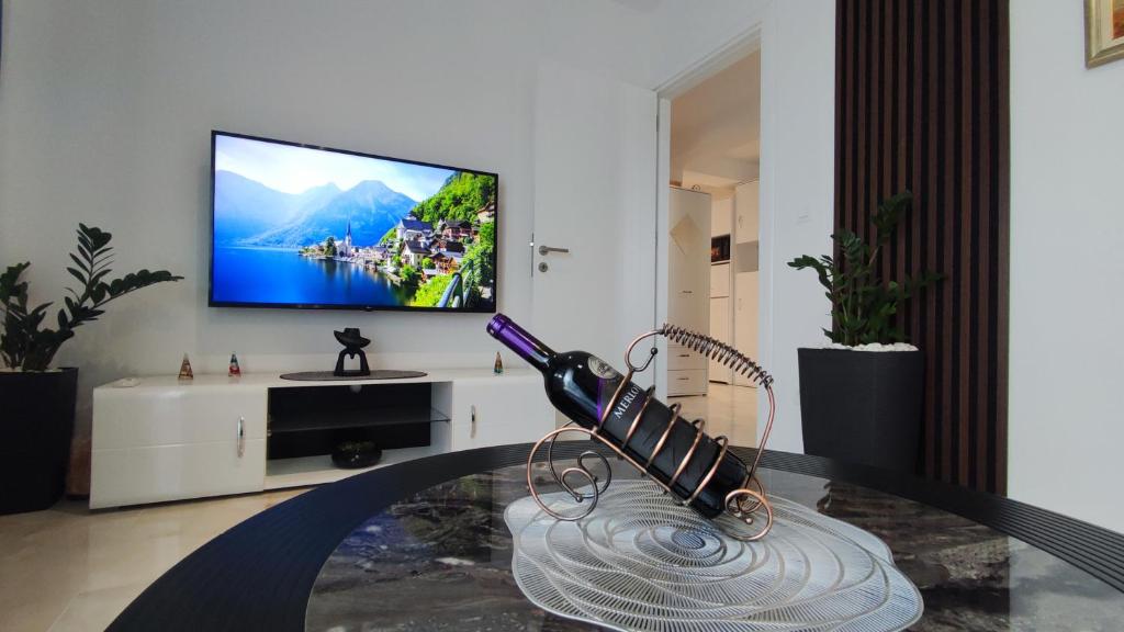 TV a/nebo společenská místnost v ubytování Lux Apartman Crnjanski IV, Jagodina
