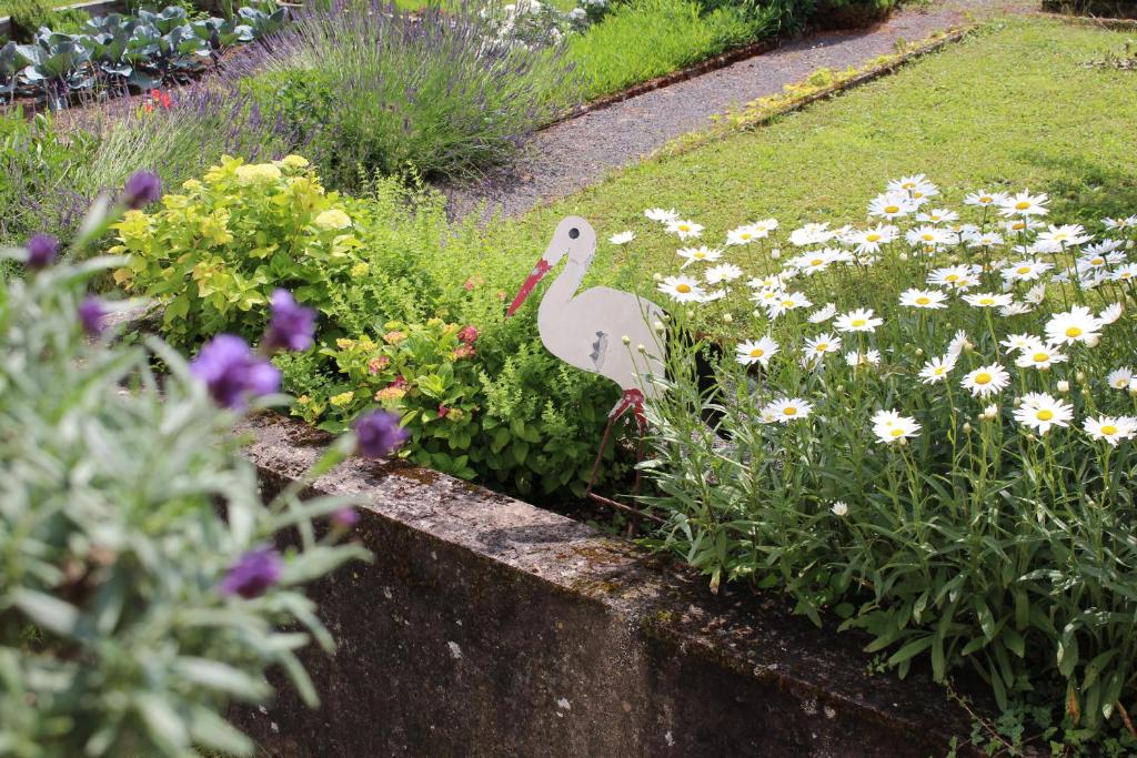 a white bird standing in a garden of flowers at La Chambre de Marie in Bouxwiller