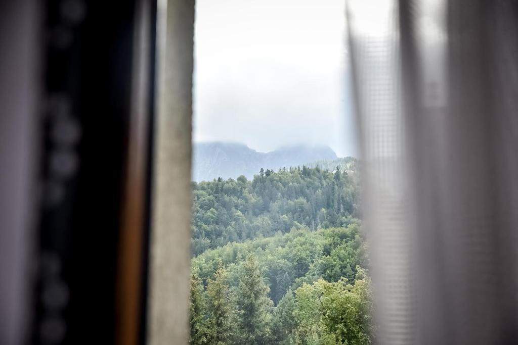 Výhľad na hory alebo výhľad na hory priamo z of the bed and breakfast