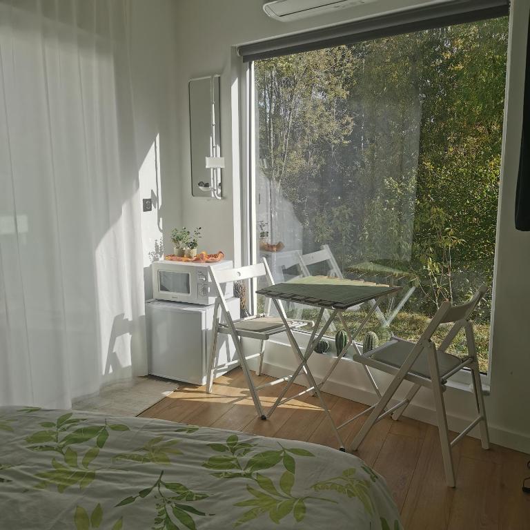 une pièce avec une table, des chaises et une fenêtre dans l'établissement Chambre meublée indépendante, à Charbonnières-les-Bains