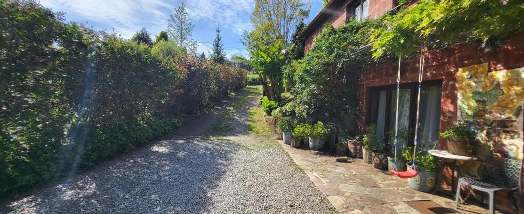Zahrada ubytování Apartamentos Rosa Jove
