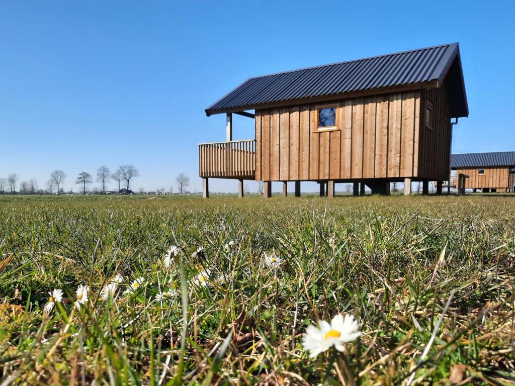 魯茵烏爾德的住宿－Atmospheric lodge with unobstructed view located in beautiful Drenthe，田野上黑屋顶的房子