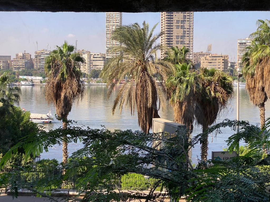 vistas a un río con palmeras y a la ciudad en JAD Group Nile view en El Cairo