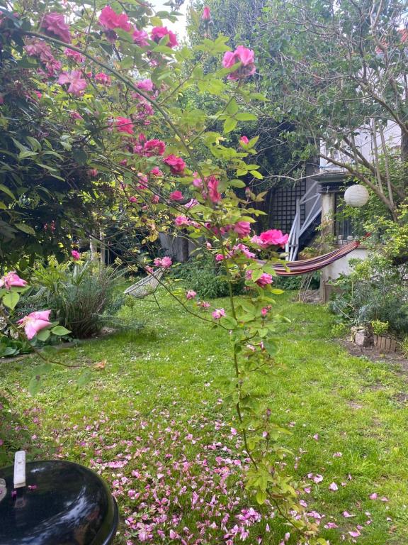 a bush with pink flowers in a yard at Maison piscine centre historique de Romainville in Romainville