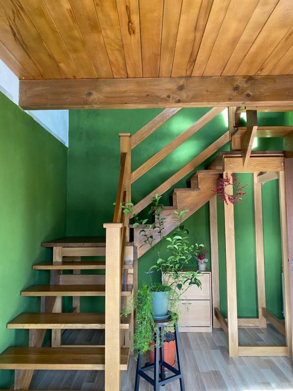 een groene kamer met houten trappen en planten bij Grandma’s Cottage in Săcele