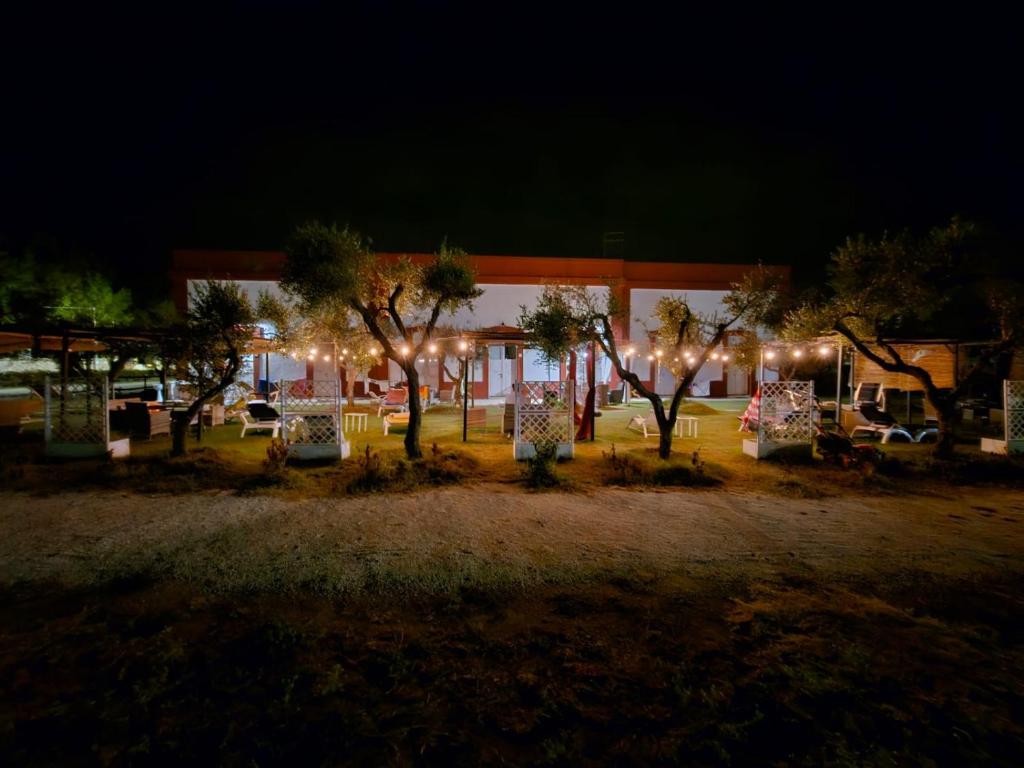 un gruppo di alberi di fronte a un edificio di notte di Il Casale di Punta Prosciutto a Punta Prosciutto
