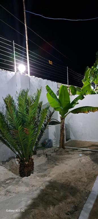 Kuvagallerian kuva majoituspaikasta LaStrada-3 Coconuts, joka sijaitsee kohteessa Jambiani