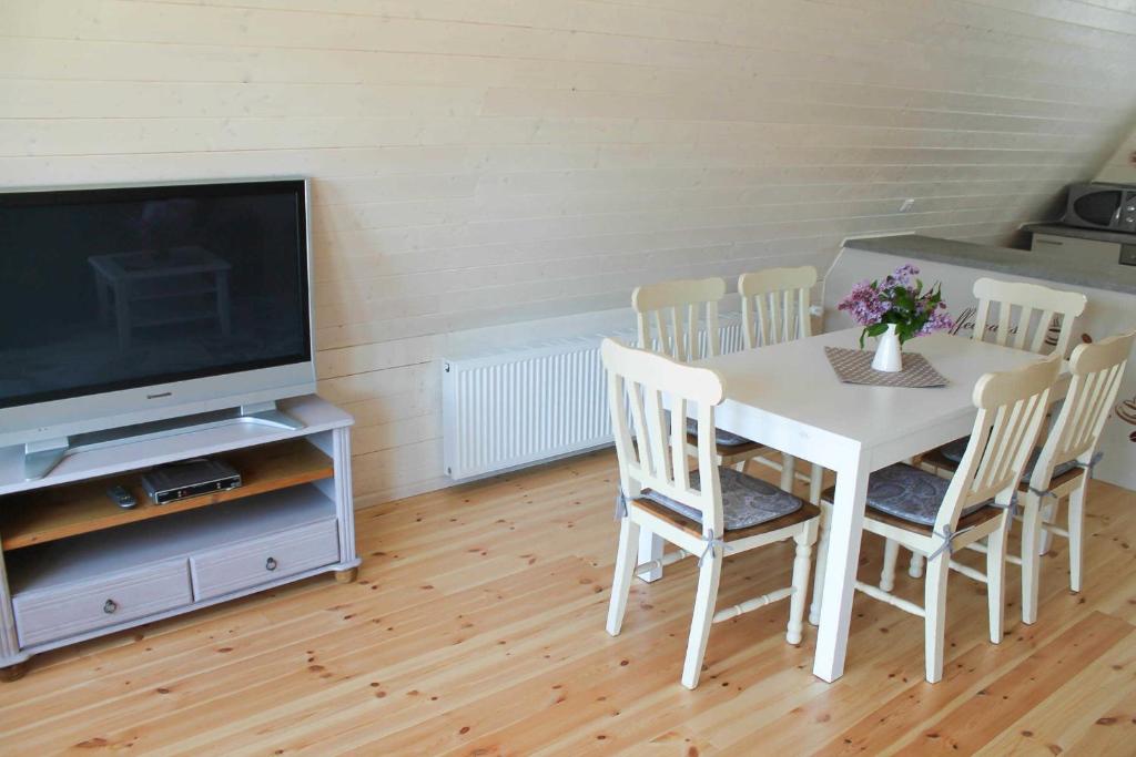 TV a/nebo společenská místnost v ubytování Finnhütte in Kröslin