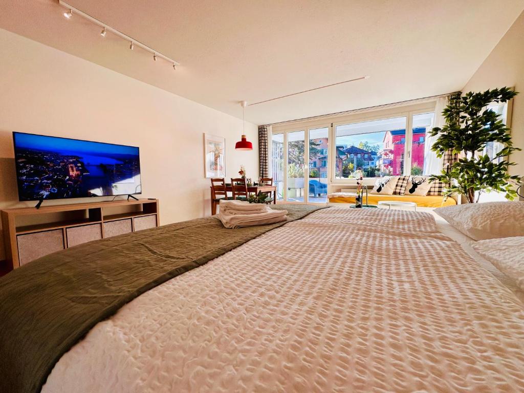 duża sypialnia z dużym łóżkiem i telewizorem z płaskim ekranem w obiekcie New Studio with sunny terrace w Zurychu