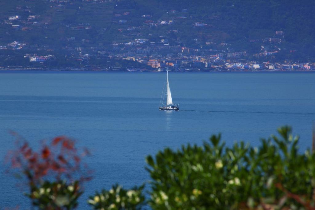 a sail boat on the water with a city at Solcalante in Procida