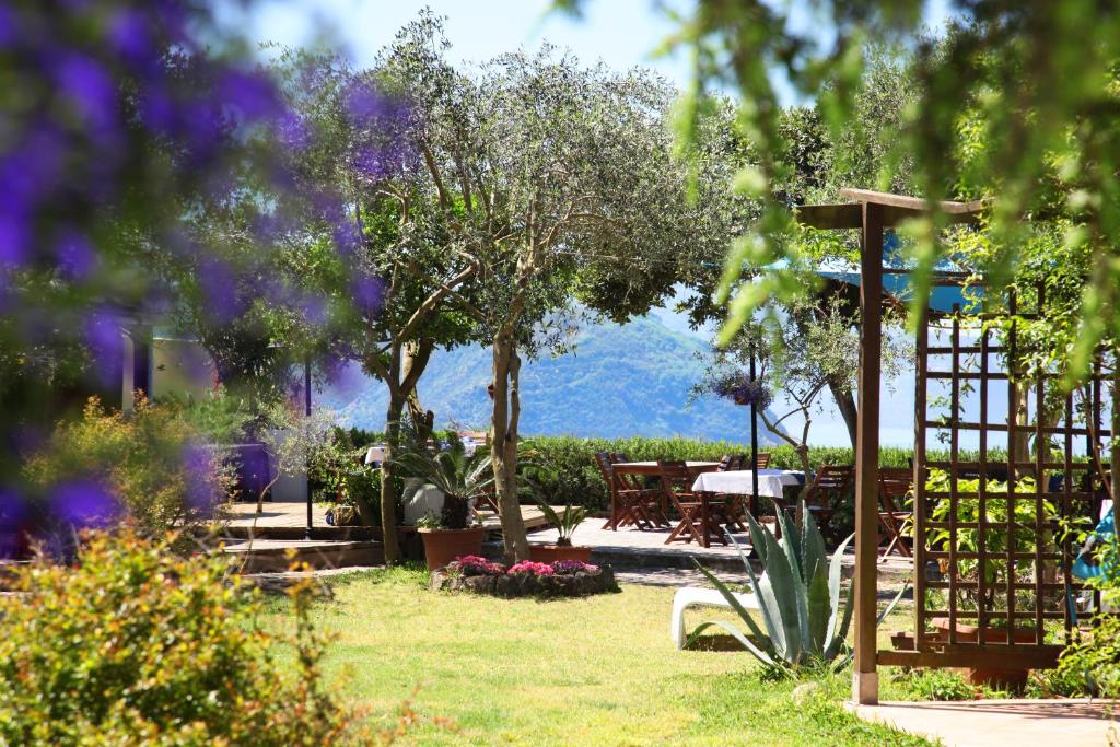 a garden with a table and chairs and trees at Solcalante in Procida