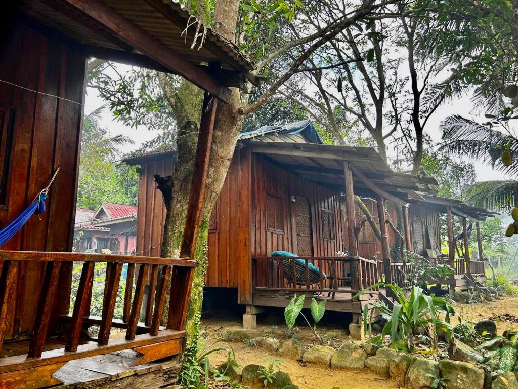 Easy Tiger Bungalows