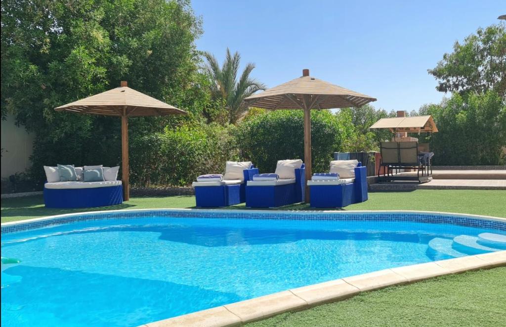 a swimming pool with chairs and umbrellas at Luxury Royal Blue Family Villa 8pers private pool in Hurghada