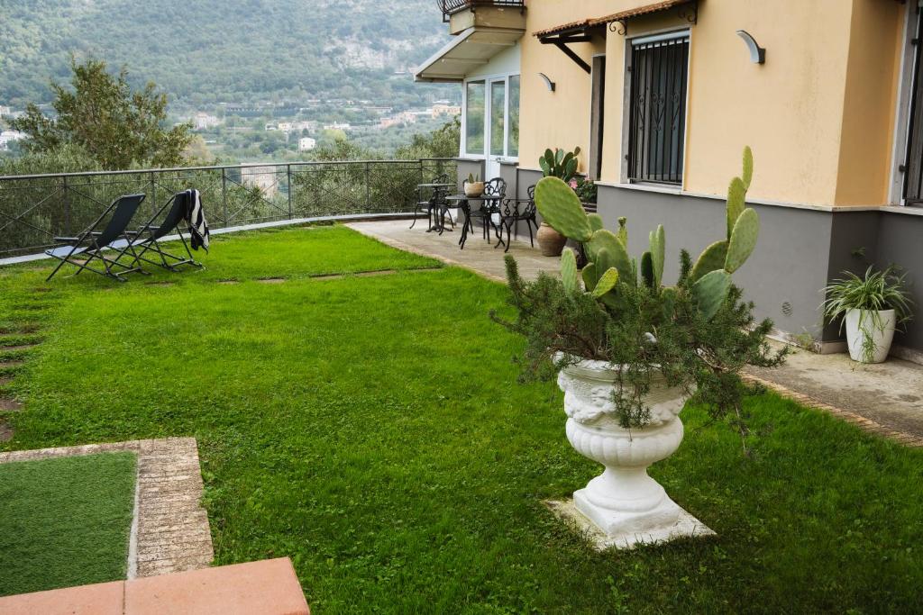 ピアノ・ディ・ソレントにあるVilla Fanella, between Sorrento & Amalfiの草の上に座る花瓶の植物