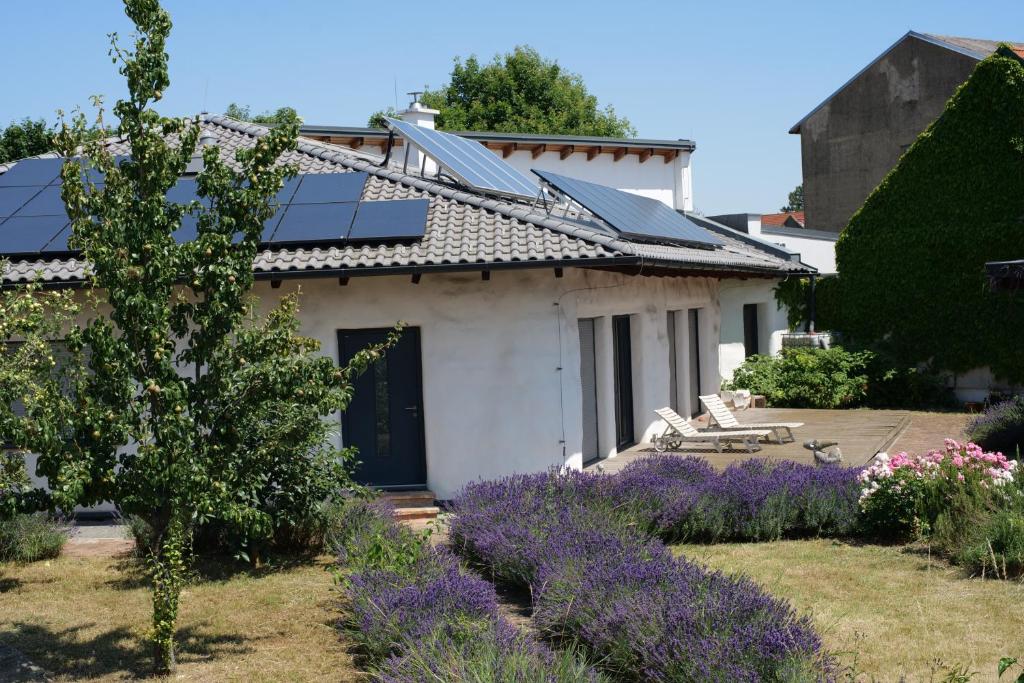 ein Haus mit Sonnenkollektoren auf dem Dach in der Unterkunft Strohlehm'zhaus in Weiden am See