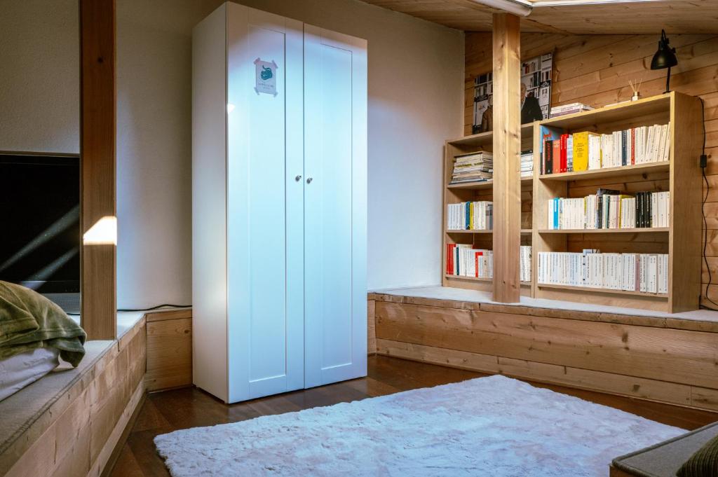 Knihovna v apartmánu