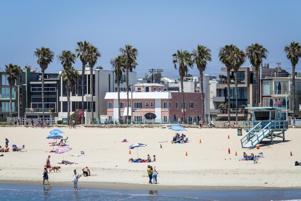 a group of people on a beach with palm trees at Venice on the Beach Hotel in Los Angeles
