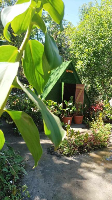 Zahrada ubytování Camping D'Tente Paradise