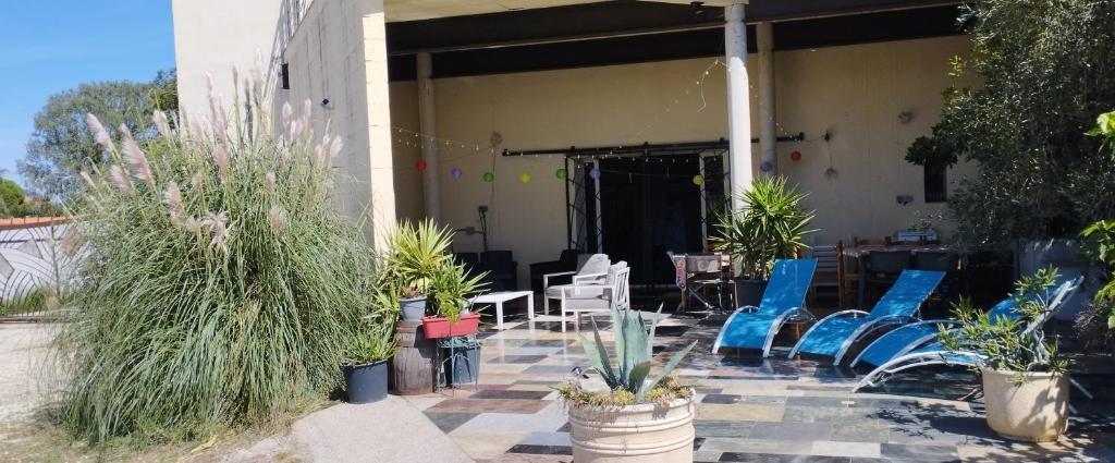 un patio con sillas azules y macetas en Mas des Marbres Sauvages - la Grange 6 chambres grand parc à 3 km de la plage, en Sainte-Marie-la-Mer