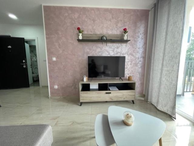 a living room with a tv and a couch and a table at Apartman Zivkovic in Veliko Gradište