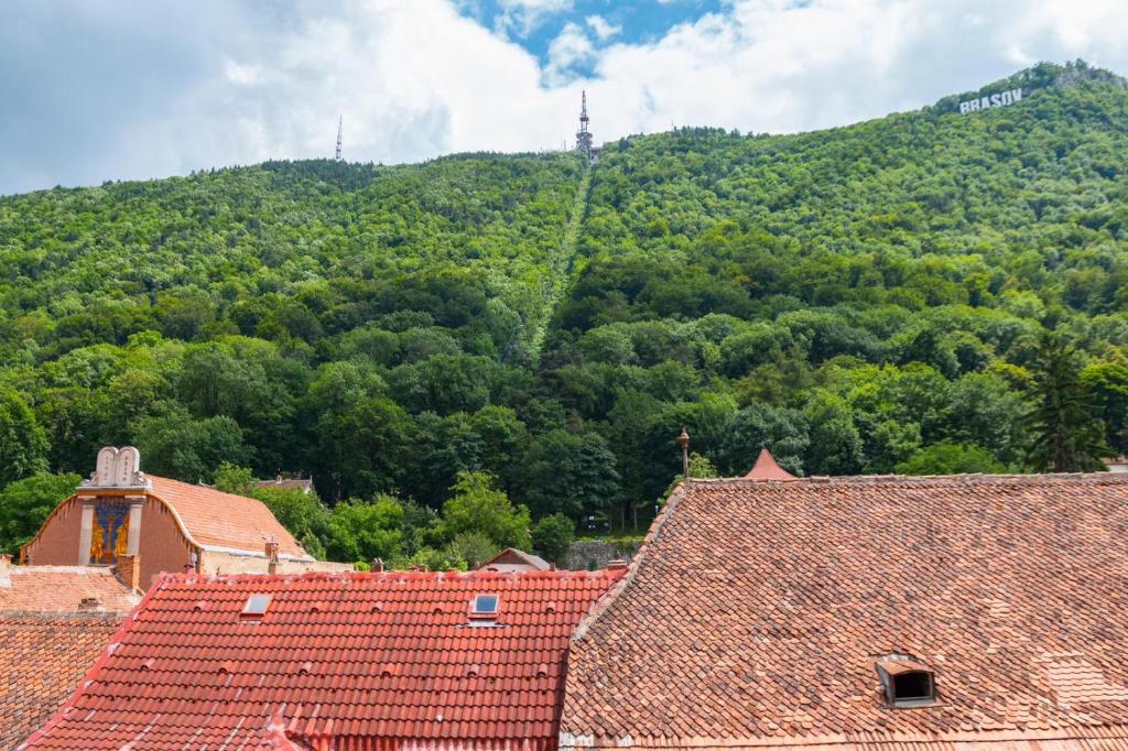 a view of a mountain with trees and roofs at CASTEL RESIDENCE in Braşov