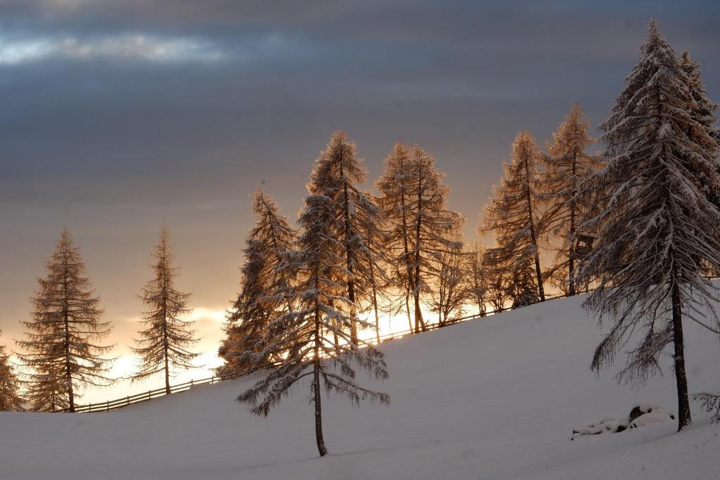 Wolfhof_Ritten v zime
