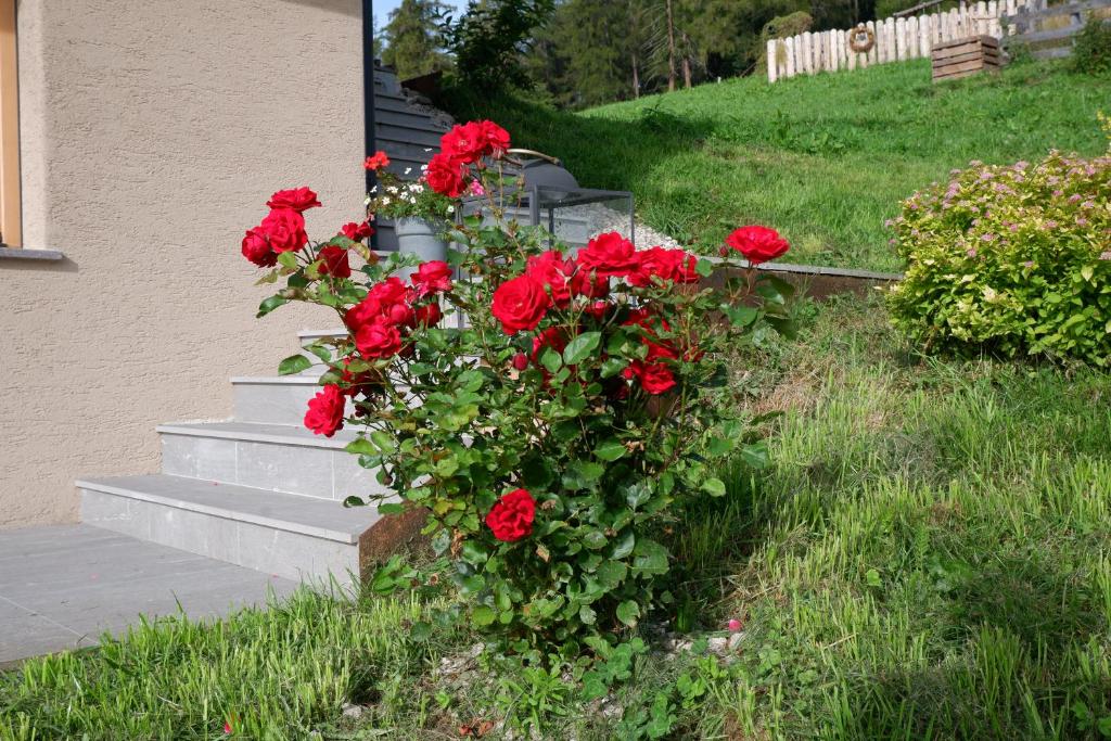 Vonkajšia záhrada v ubytovaní Wolfhof_Ritten