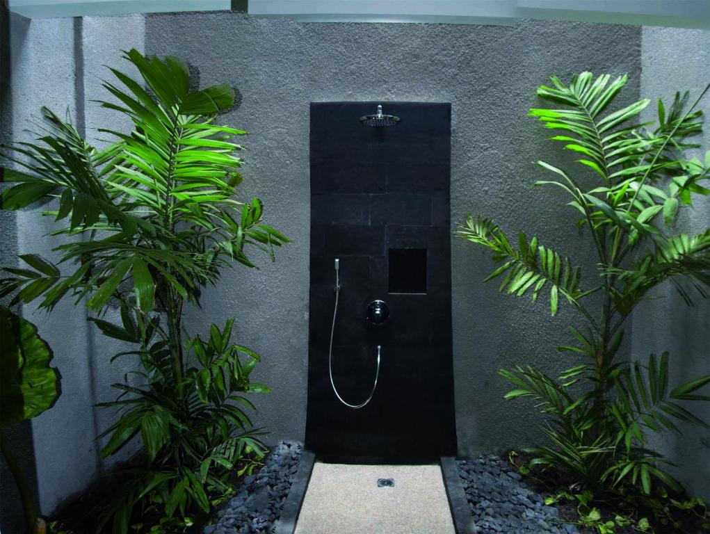 Vannituba majutusasutuses Dream Divers Resort