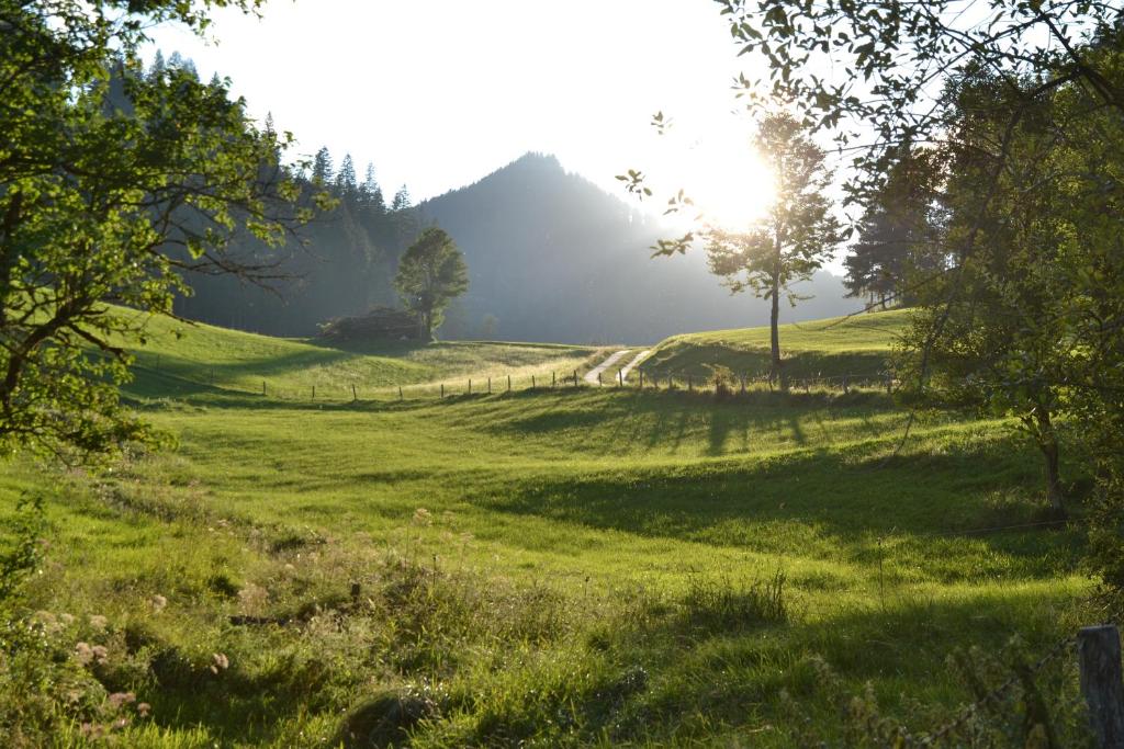 Příroda nedaleko apartmánu