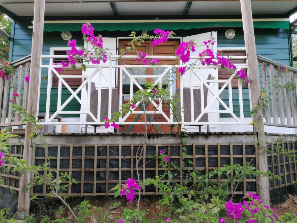 dom z fioletowymi kwiatami na ganku w obiekcie Bungalow Ti Bois w mieście Belle Languette