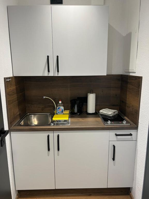 Kuchyň nebo kuchyňský kout v ubytování Gemütliches Studio im Stadtkern mit Kanalblick