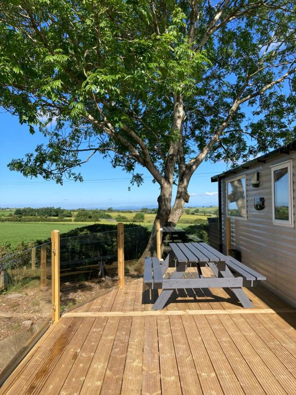 une terrasse en bois avec un banc et un arbre dans l'établissement Lake District Solway View 16 The Beeches Caravan Park, à Gilcrux