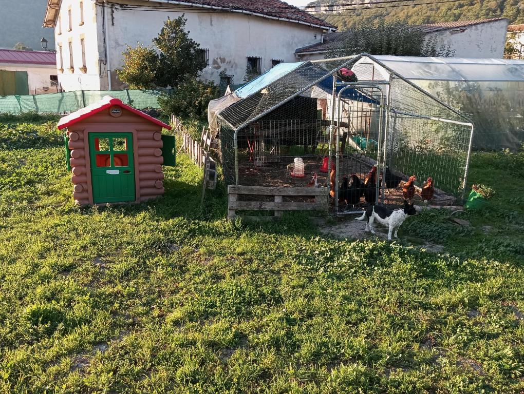 Zahrada ubytování Maittia-Larraona