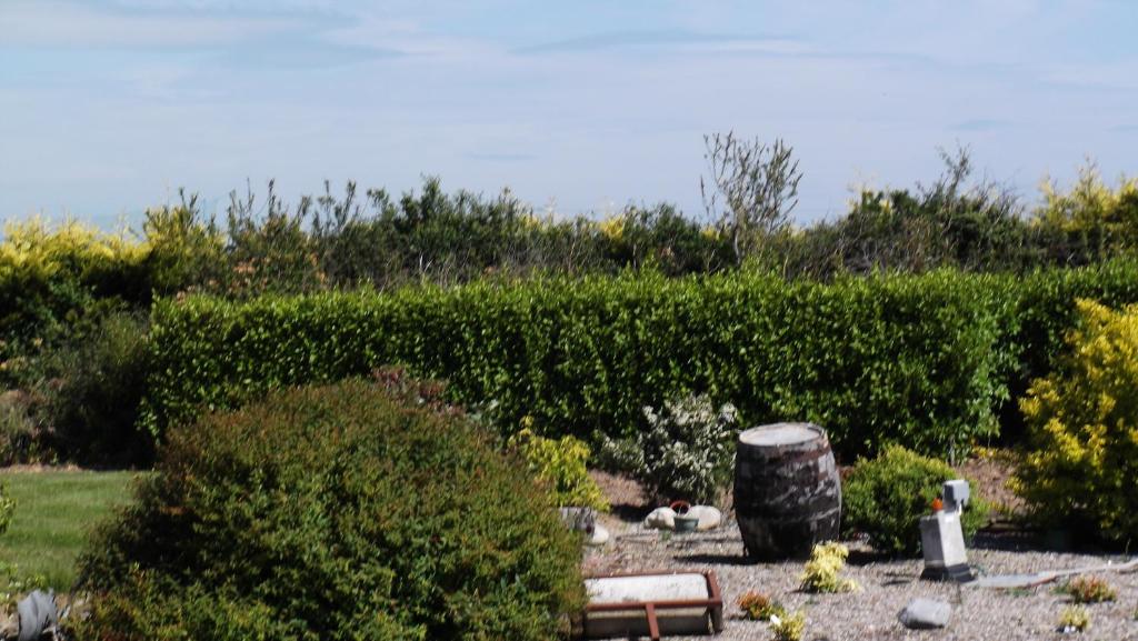 Fotografie z fotogalerie ubytování Ashley Lodge Bed & Breakfast v destinaci Rosslare