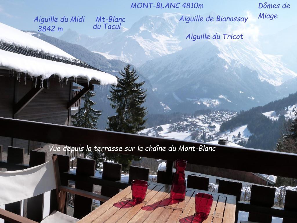 Studio 2 personnes - vue Mont blanc im Winter