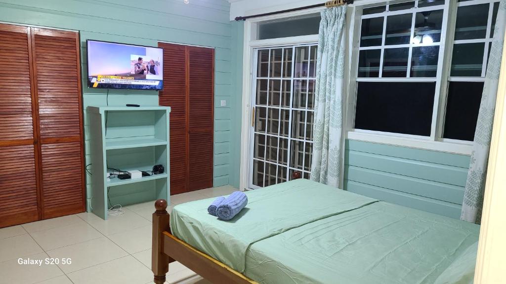 een slaapkamer met een bed en een tv. bij Valley View in Roseau