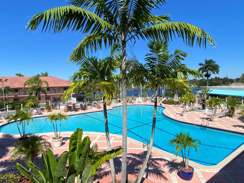 uma piscina com palmeiras num resort em Royal Inn Hotel em Royal Palm Beach