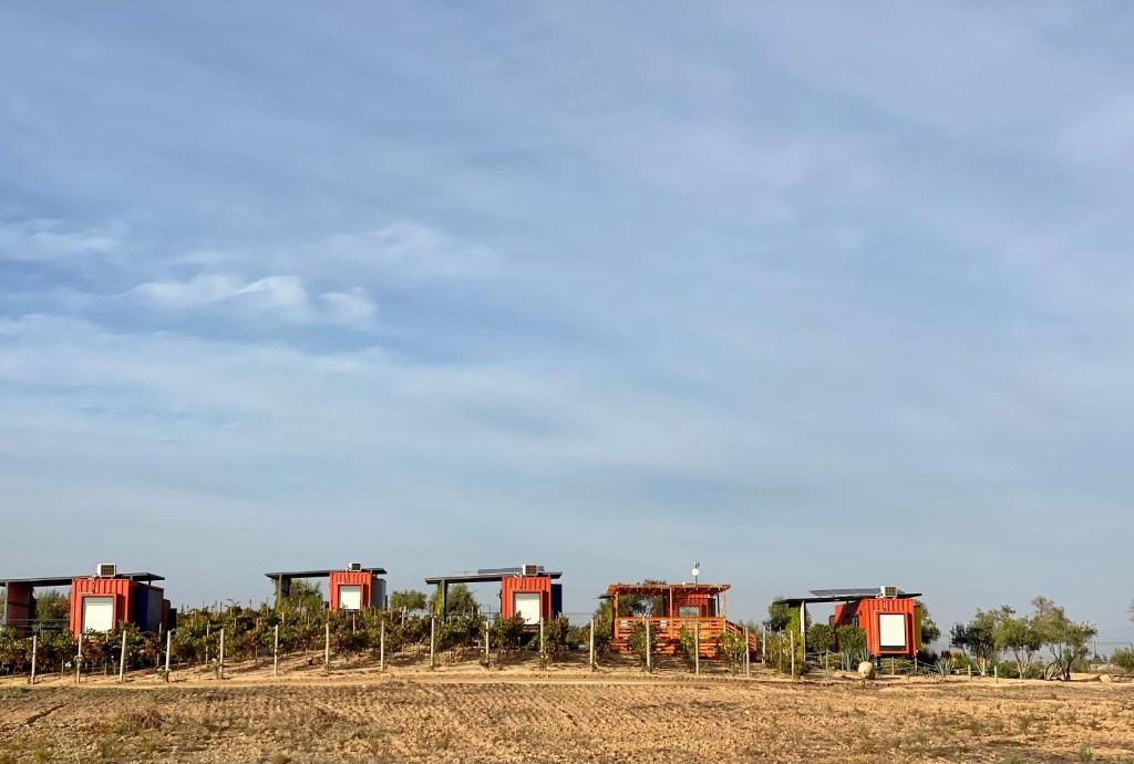 eine Reihe roter Zugfahrzeuge auf einem Feld in der Unterkunft Xaroma in Valle de Guadalupe