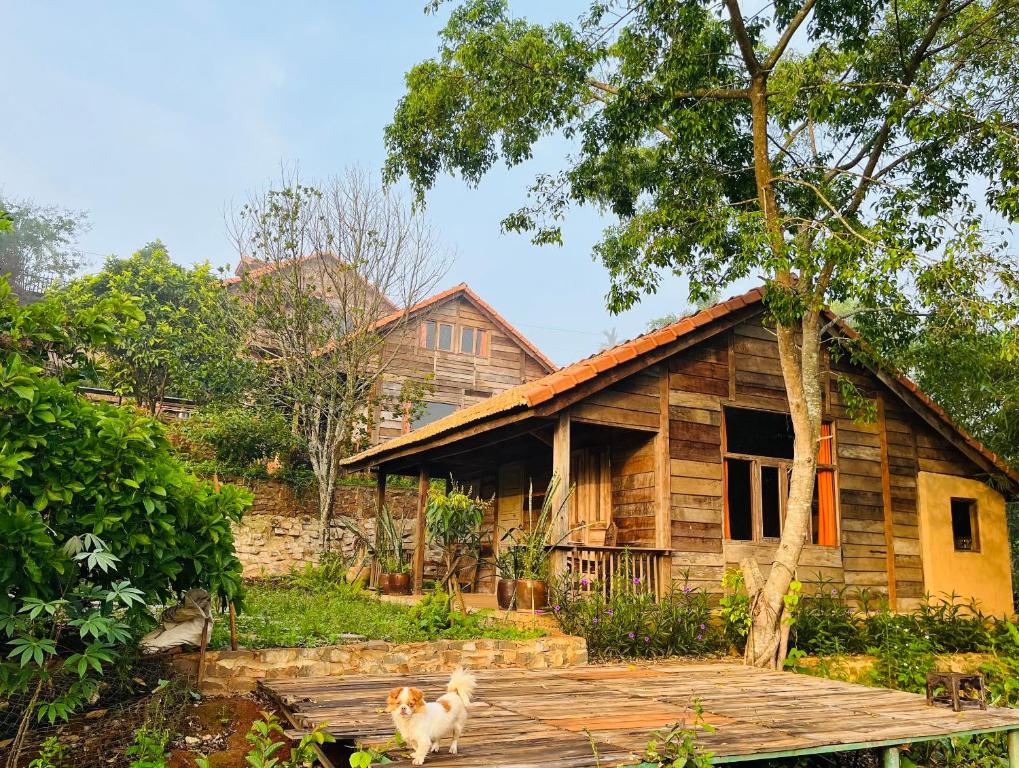 Photo from Boong House in Bao Loc, Lam Dong, Vietnam