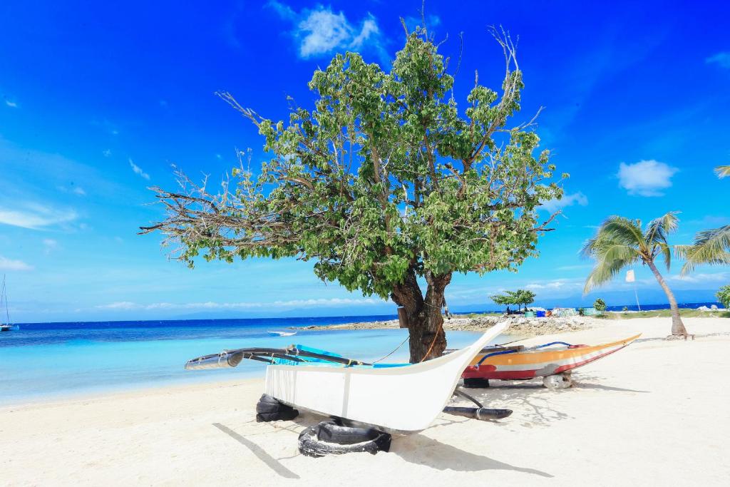 un árbol y un barco en una playa en Marika Resort, en Badian
