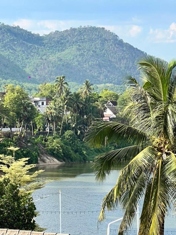 a palm tree in front of a river with mountains at Zen Boutique House in Luang Prabang