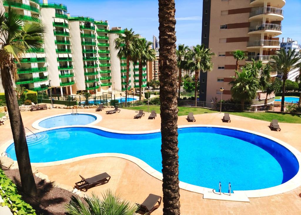 an empty swimming pool with palm trees and buildings at Refugio Racó del Conill - Mountain, Beach & Spa in Benidorm